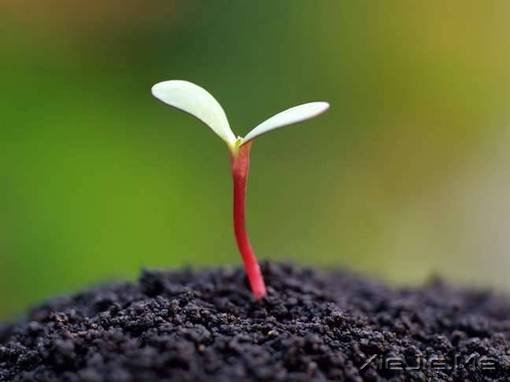 �Һ�������粻�� (7)