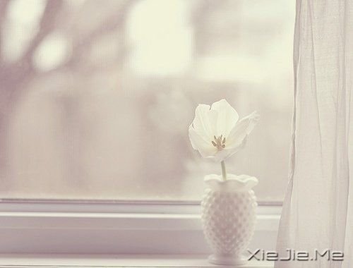 ����·�ϵ�50��������� (2)