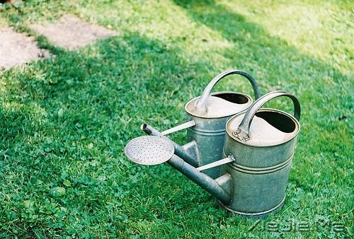 ���������� (3)